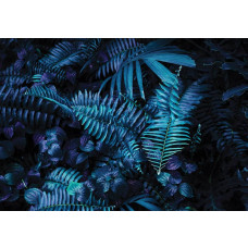 Fototapete mit grünen Blättern in einem Dschungel, frisch und lebendig.