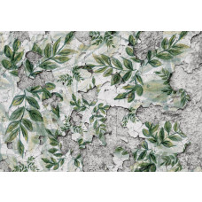 Fototapete mit Blättern an einer Betonwand, Pflanzen für einen natürlichen Touch.