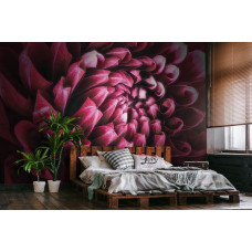 Eine Nahaufnahme einer roten, rosafarbenen und lila Blume auf einer Fototapete in einem ruhigen Schlafzimmer.