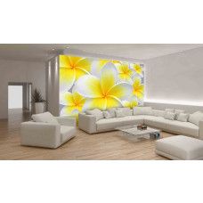 Eine Fototapete mit gelben und weißen Blumen in einem Feld, die ein frisches und natürliches Bild bietet.