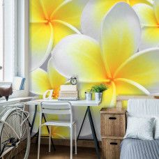 Eine Fototapete mit gelben und weißen Blumen, die die natürliche Pracht der Natur unterstreicht, perfekt für ein Büro.