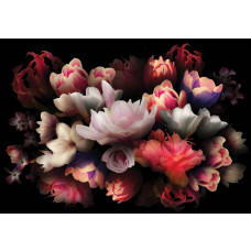 Bunter Blumenstrauß Fototapete, lebendige und fröhliche Farben.