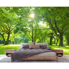 Eine Fototapete mit Bäumen in einer sonnigen Parklandschaft, ideal für ein Schlafzimmer.