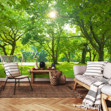Eine Fototapete mit Bäumen in einem sonnigen Park, perfekt für ein Wohnzimmer.