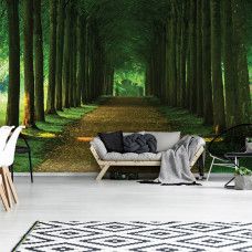 Eine Fototapete eines Waldweges mit 3D-Tunnel-Effekt im Wohnzimmer.
