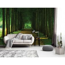 Eine Fototapete eines Waldweges mit 3D-Tunnel-Effekt im Wohnzimmer.