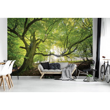 Eine Fototapete mit einem Baum im Wald, die im Wohnzimmer zu sehen ist.