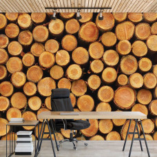 Eine Fototapete mit Baumstämmen als Wanddekoration, ideal für das Büro.