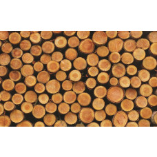 Fototapete mit Baumstämmen und Holzmaserungen, natürliche Textur für einen rustikalen Effekt.