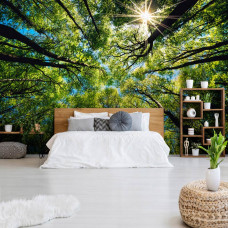 Fototapete Baumkronen in der Sonne als nahtlose Tapete für ein Schlafzimmer.