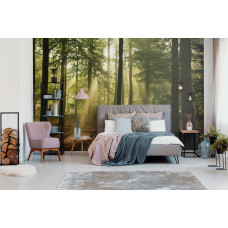 Eine Fototapete eines Waldes bei Sonnenaufgang mit natürlichen Sonnenstrahlen.