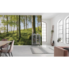 Eine Fototapete mit einer Waldlandschaft und Bäumen, geeignet für das Wohnzimmer.