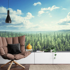 Eine Fototapete mit einem bezaubernden Bild eines Waldes und Wolken über Berggipfeln, ideal für ein Wohnzimmer.