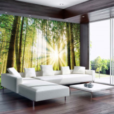 Eine Wald-Fototapete, die eine natürliche Gegend bei Sonnenuntergang mit sanften Grüntönen zeigt.