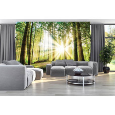 Eine Fototapete, die eine ruhige Waldlandschaft bei Sonnenuntergang zeigt, platziert in einer natürlichen Umgebung des Wohnzimmers.