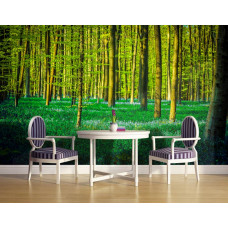 Eine Fototapete mit grünen Bäumen in einem Wald auf dem Display in der Küche.