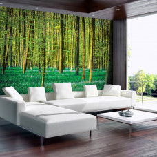 Eine Fototapete mit grünen Bäumen in einem Wald auf dem Display im Wohnzimmer.