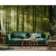Ein Wohnzimmer mit einem Fototapet von einem Wald mit himmlischen Lichtstrahlen, die durch die Bäume scheinen, mit reichen Grüntönen und detaillierten Blättern.