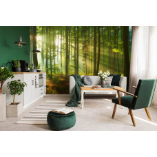 Fototapete von einem Wald mit himmlischen Lichtstrahlen, die durch die Bäume scheinen, mit reichen Grüntönen und detaillierten Blättern, zu sehen in einem Wohnzimmer.
