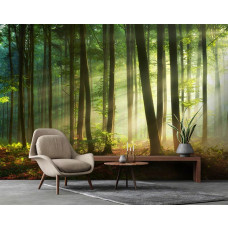 Eine Fototapete mit einer ruhigen Waldumgebung voller Sonnenstrahlen, geeignet für ein Schlafzimmer und Wohnzimmer.