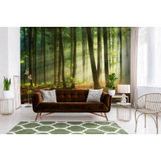 Eine Fototapete mit Sonnenstrahlen, die durch einen dichten Wald brechen, ideal für ein Wohnzimmer.