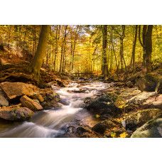 Fotobehang met bosbeek in de herfst en warme oranje tinten