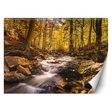Fotobehang met bosbeek in de herfst en warme oranje tinten