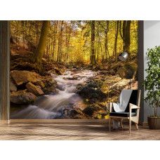 Fotobehang met bosbeek in de herfst en warme oranje tinten