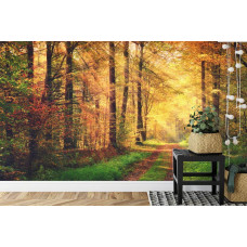 Eine Fototapete mit einem bezaubernden Waldweg, der von Sonnenstrahlen beleuchtet wird, ideal für ein Schlafzimmer.