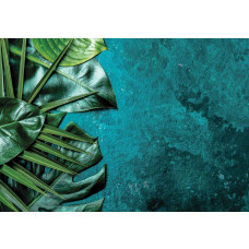 Fototapete mit botanischen Blättern auf einem strukturierten Glashintergrund.