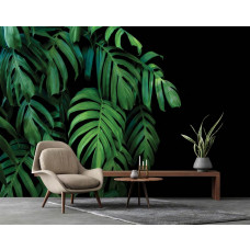 Eine Fototapete mit Dschungelblättern und einem kontrastierenden schwarzen Hintergrund.