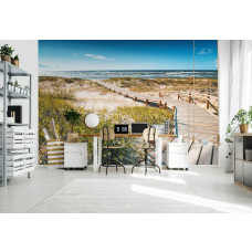 Fototapete Brücke durch die Dünen in einem professionellen Büro.