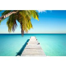 Fotobehang met brug omringd door palmbomen en zee in blauwe tinten