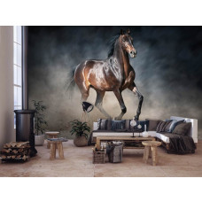 Eine Fototapete mit einem braunen Pferd für das Wohnzimmer.