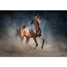 Fototapete mit einem braunen Pferd, naturgetreu und realistisch.