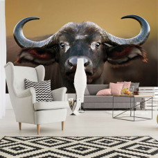 Eine Büffelkopf-Fototapete für das Wohnzimmer.