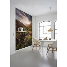 Eine Fototapete mit Kakteen in der Landschaft von La Gomera, mit einem warmen und trockenen Klima.