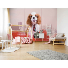 Eine Fototapete mit einem Cavalier King Charles Spaniėl in einem modernen Kinderzimmer.