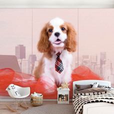 Eine Fototapete mit einem Cavalier King Charles Spaniėl in einem Mädchenzimmer mit sanften Farben...