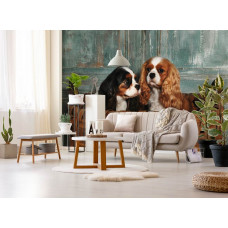 Eine Fototapete mit Cavalier King Charles Spaniels in einem gemütlichen Wohnzimmer.