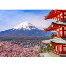 Fototapete mit Chureito Pagode und Berg Fuji und eine Kirschblüte im Frühling, in Japan.