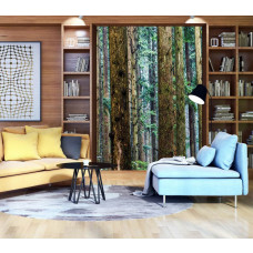 Eine Fototapete eines Kiefernwaldes mit hohen Bäumen und natürlicher Umgebung im Wohnzimmer.