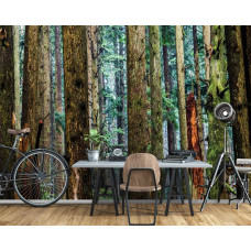 Eine Fototapete eines Kiefernwaldes mit hohen Bäumen und natürlicher Umgebung im Büro.