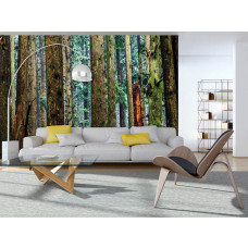Eine Fototapete eines Kiefernwaldes mit hohen Bäumen und natürlicher Umgebung im Wohnzimmer.