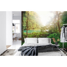 Ein Fototapete mit einem exotischen Bild eines Dschungels und eines ruhigen Sees, geeignet für ein Schlafzimmer.
