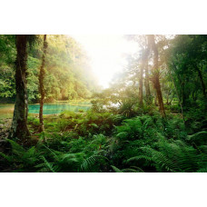 Fototapete eines tiefen tropischen Waldes mit einem klarblauen See, umgeben von üppiger Natur.