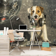 Fototapete mit einem DJ-Hund in der Disco, geeignet für eine Büroumgebung.