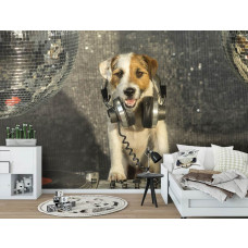 Fototapete mit einem DJ-Hund im Disco-Stil für das Schlafzimmer.