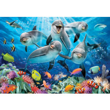 Delfine unter Wasser, Aquarium-Fototapete mit einer fröhlichen und lebendigen Atmosphäre für Kinderzimmer.