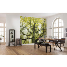 Eine Fototapete mit einem Traumbaum in einer Waldlandschaft, ideal für eine magische Atmosphäre.